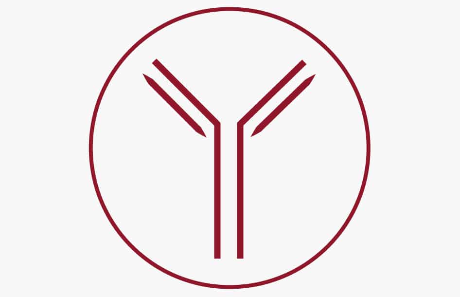 Uk Innovation Ig Projets Dev