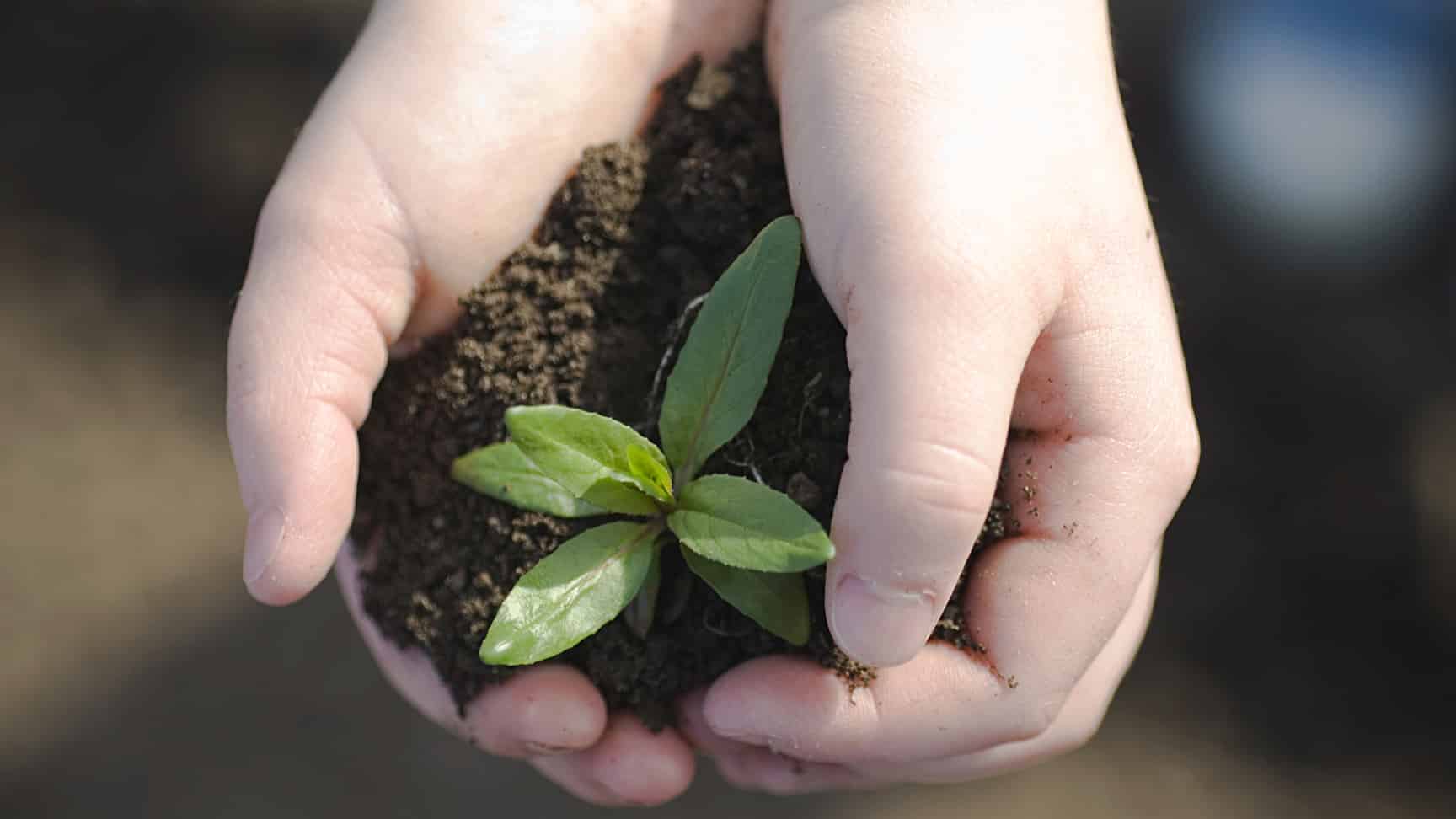 Header Imageheader Rubrique Agirsocieteresized