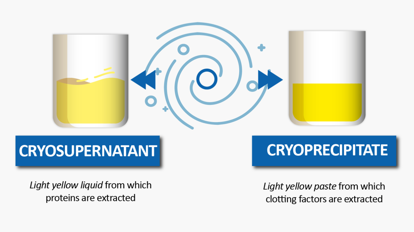 CRYOSUPERNATANT: light yellow liquid from which proteins are extracted. CRYOPRECIPITATE: light yellow paste from which clotting factors are extracted